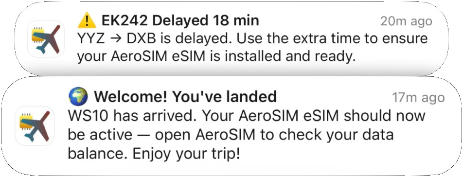 Push notifications for delay alerts and landing confirmation
